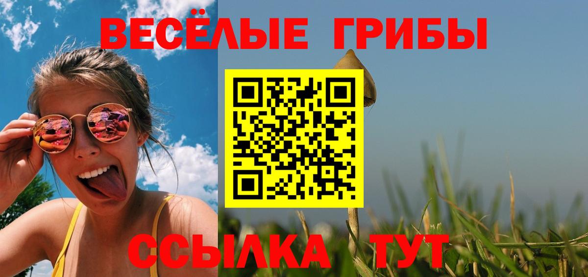 Галлюциногенные грибы ЛСД  Вход с VPN  Галлюциногенные грибы мухоморы  Славянск-на-Кубани 
