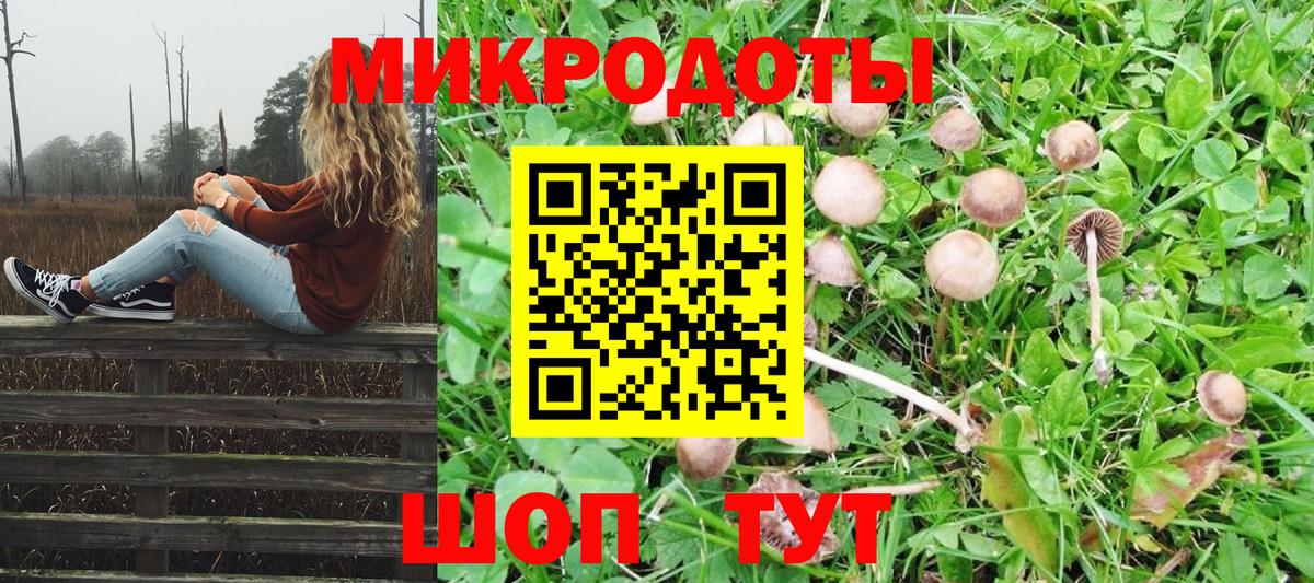 NBOMe  Славянск-на-Кубани  Мефедрон   Вход с VPN  ГАШИШ  КОКАИН  Бошки Шишки 